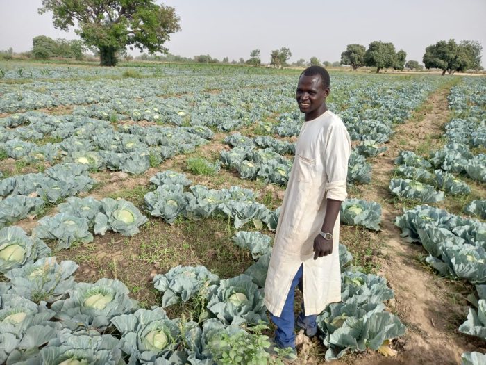 Ado Wialari Kuka standing in his cabbage farm